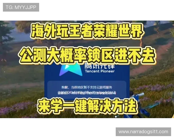 最新开云入口教程完整步骤详解确保玩家轻松进入游戏世界