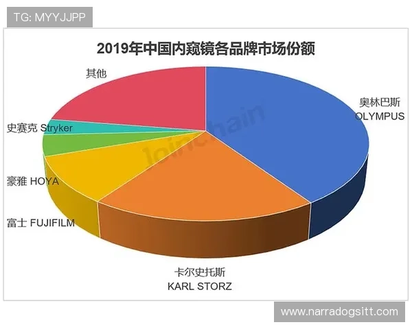 开云体育娱乐官网赞助勒沃库森对提升品牌影响力和市场份额的积极作用