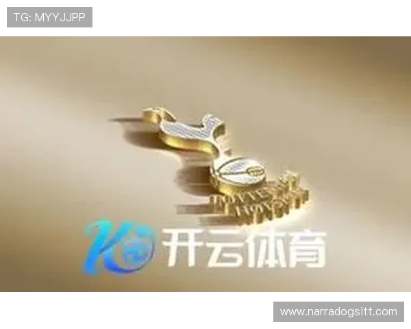 开云体育官方网站下载流程详解，确保用户快速、安全安装游戏客户端